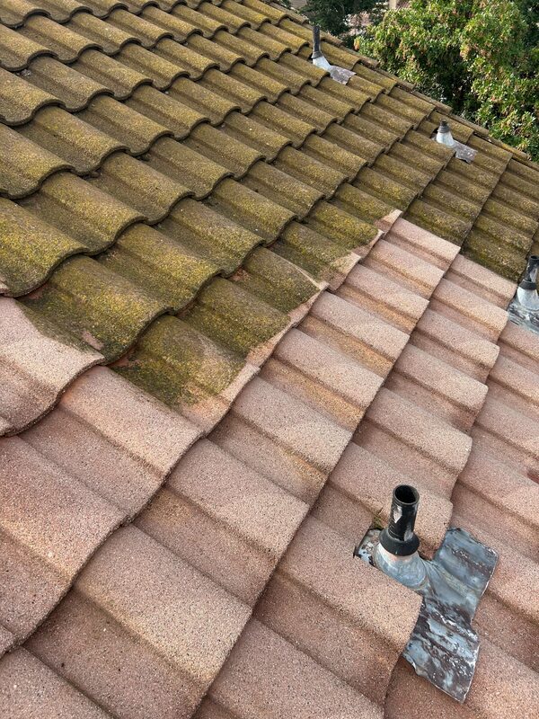 Tile roof section showing mossy debris beside cleaned roof tiles