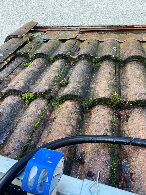 Moss and debris collected along a tile roof edge near flashing